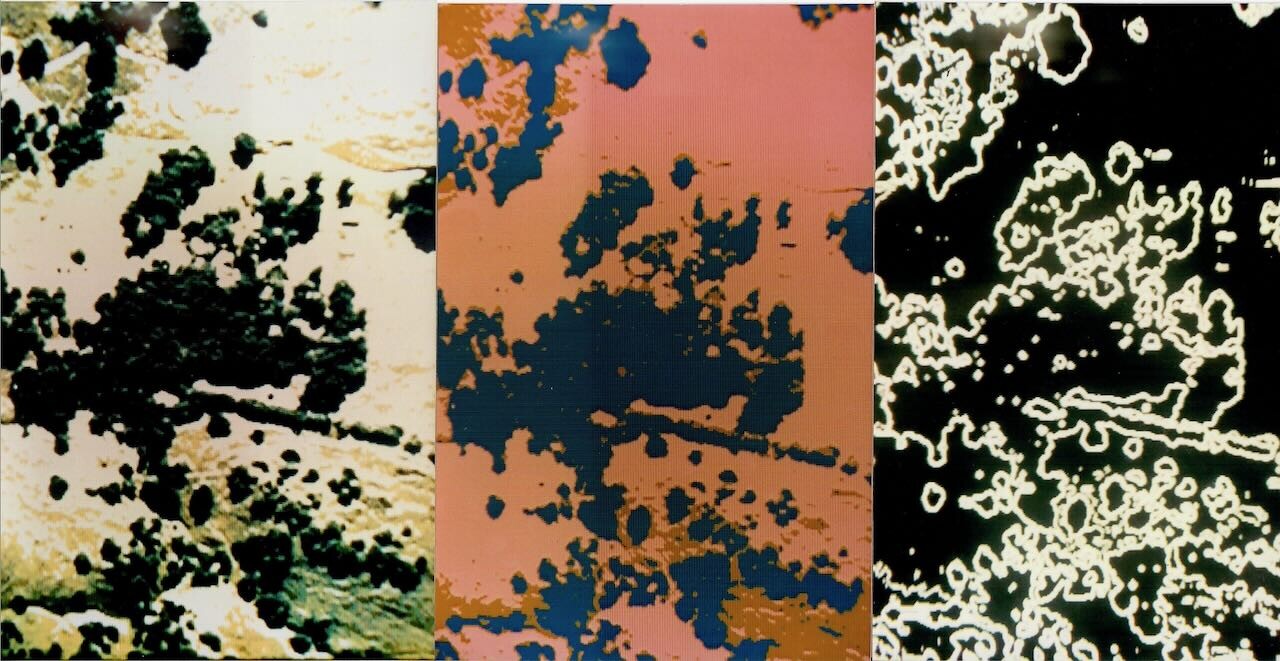 Ecological Image Processing, 1992 style