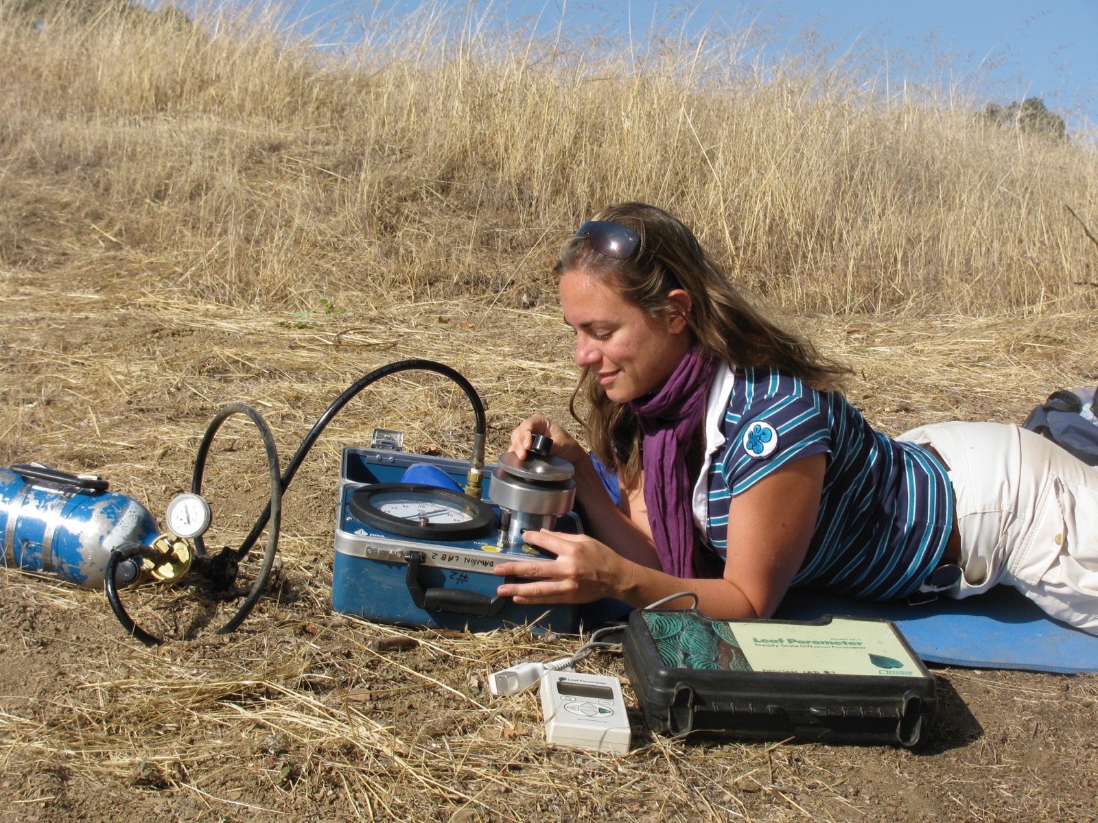 Graduate student Ute Stumpf measuring oak leaf water potential at Blue Oak Ranch Reserve, 2009
