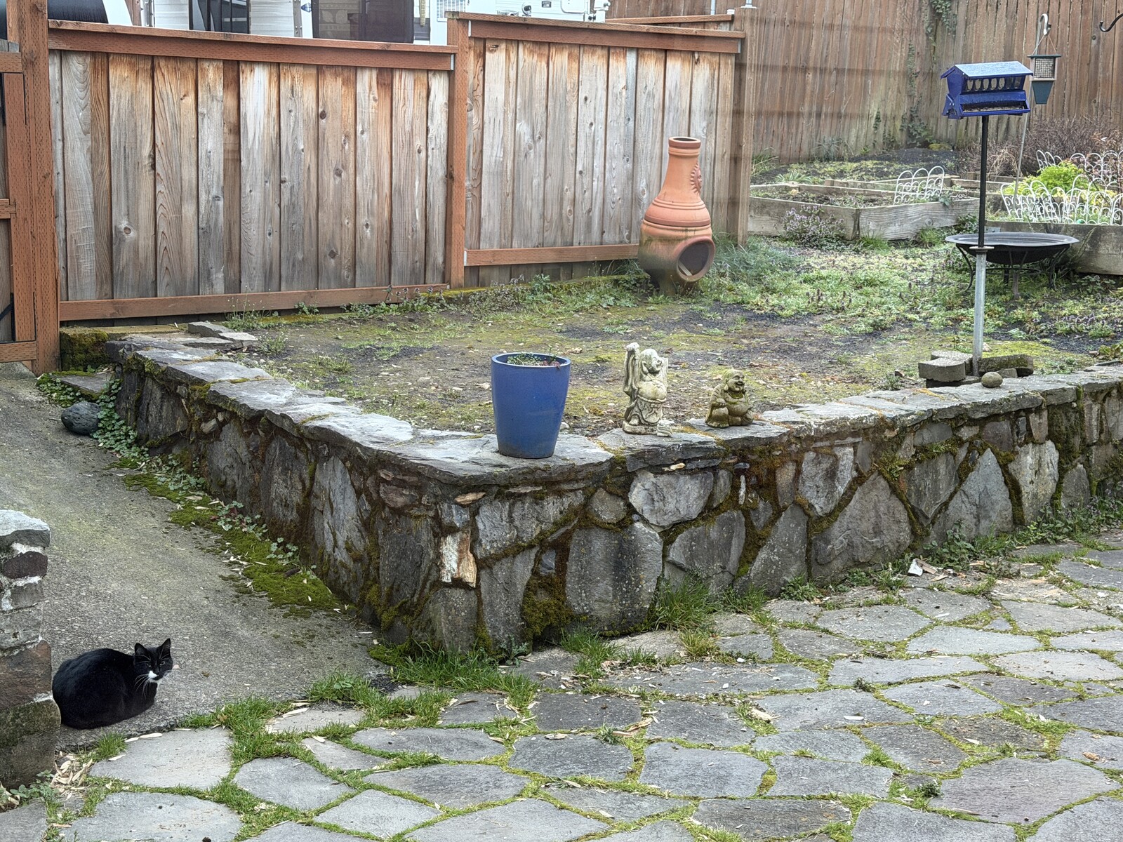 The Second Derivative: From Mist Nets to Macroscopes and the Future of Ecological Observation