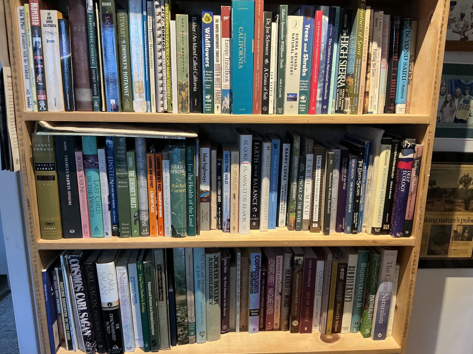 Beyond Wikipedia Realism: Notes on Dialogic Production and Planetary Cost