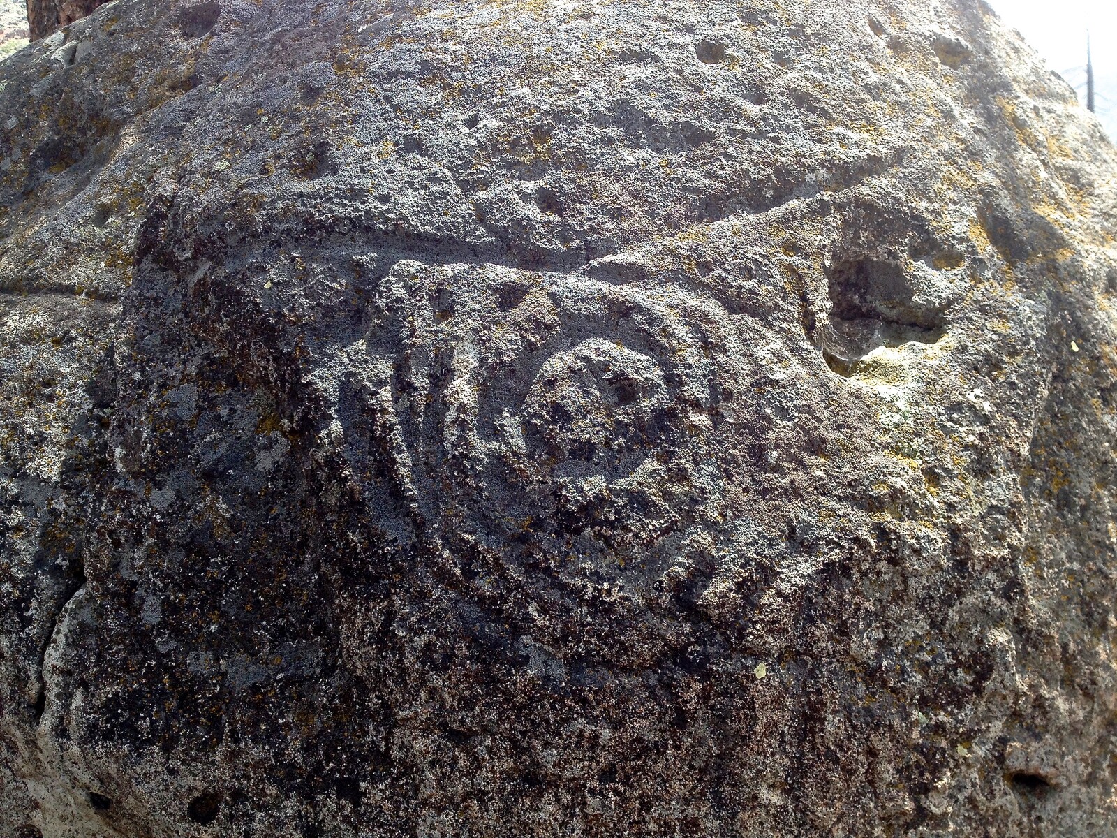 A petroglyph of unknown origin in Sierra Valley, California