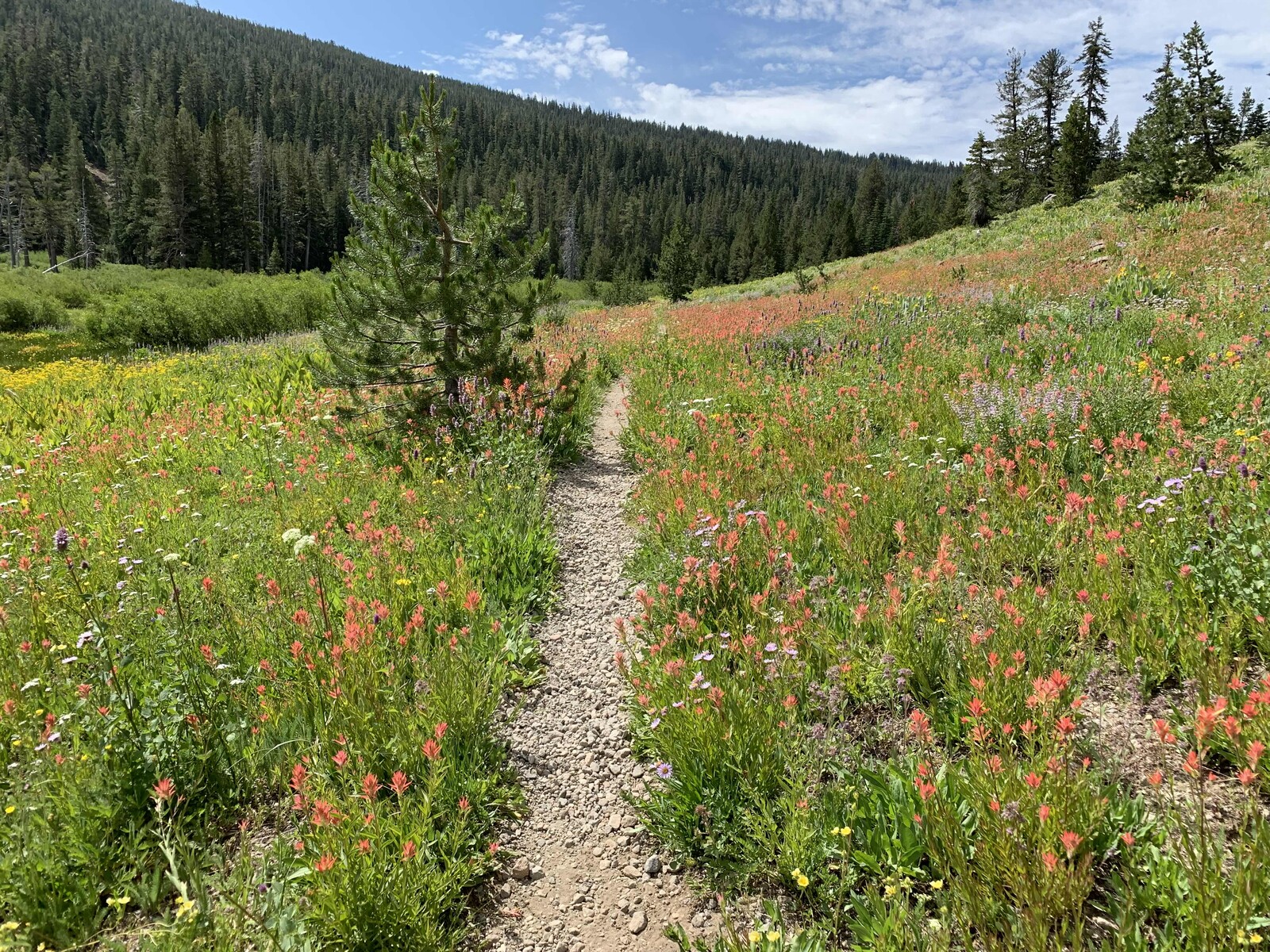 On the trail less travelled