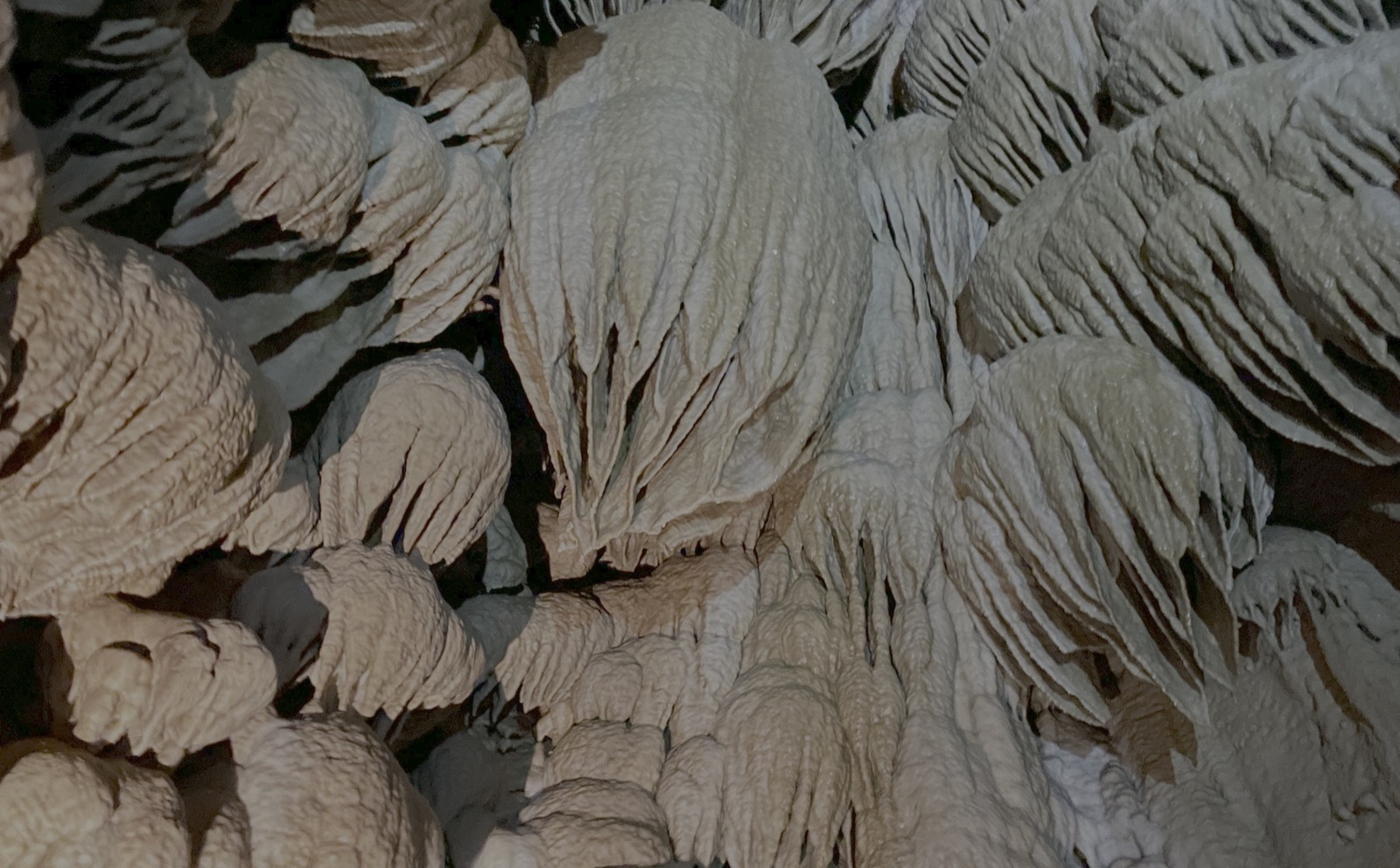 Oregon Caves drapery formations—geological time crystallized into structure you can see and experience