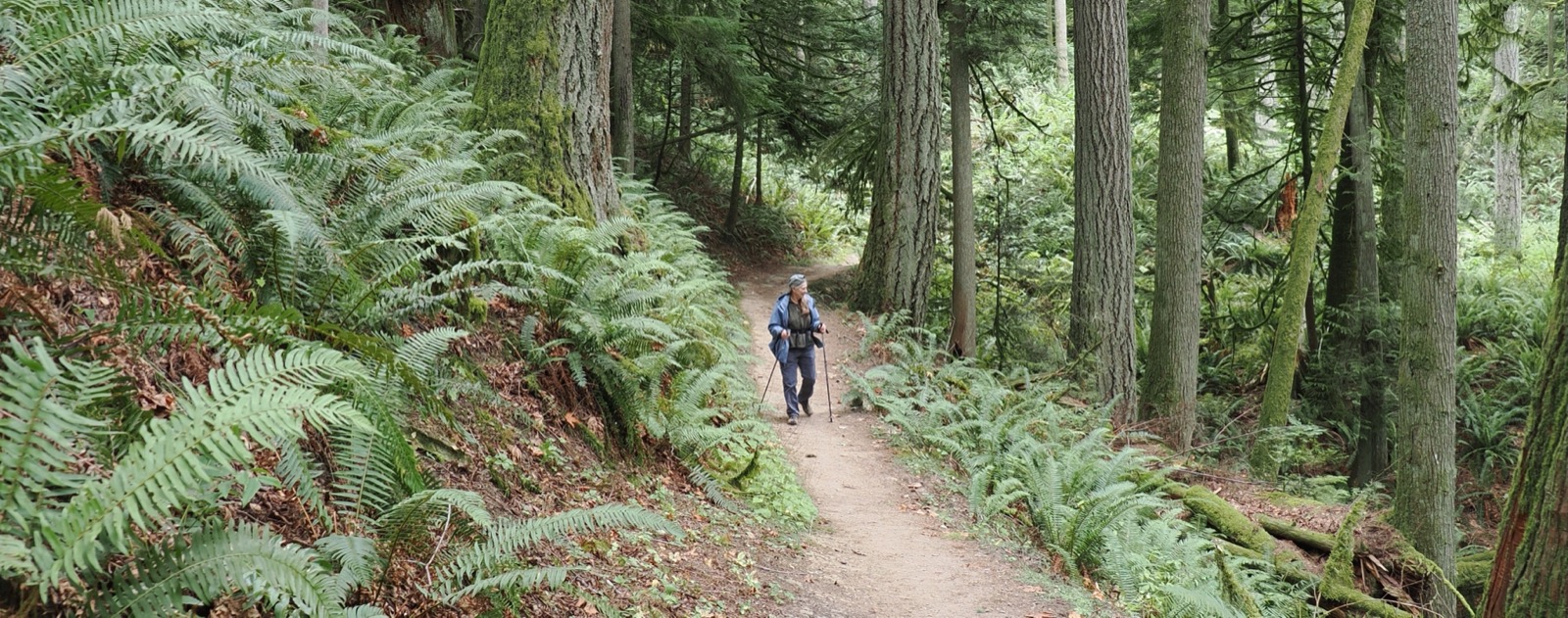 trekking along a favorite trail in the north Cascades, Washington
