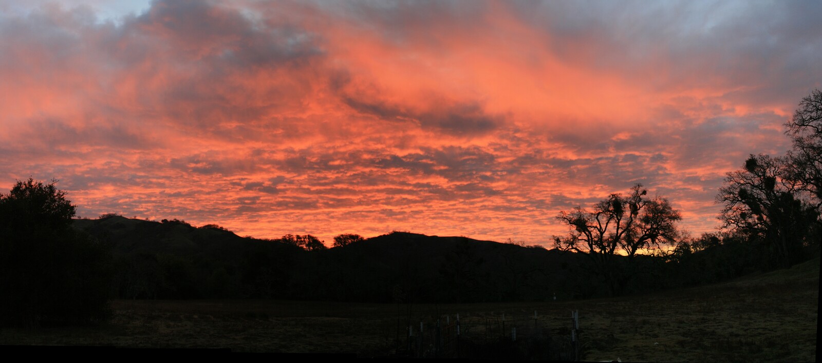 What It Feels Like to Wake Up