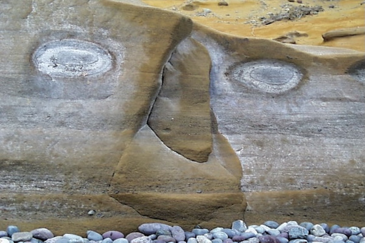 "What do you observe?"